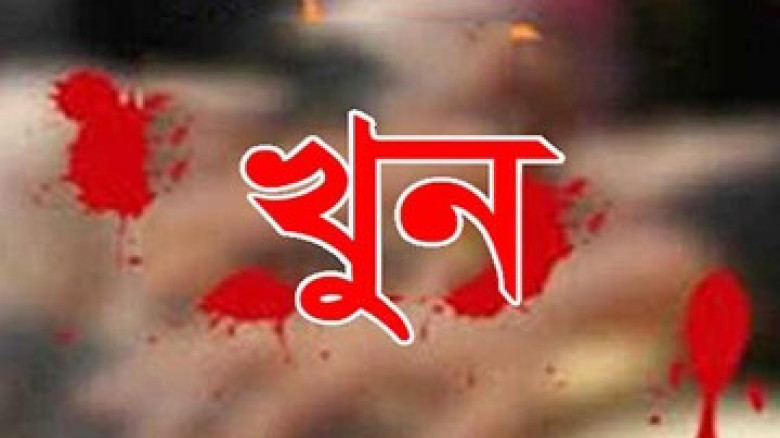 জামাতার হাতে শাশুড়ী খুন