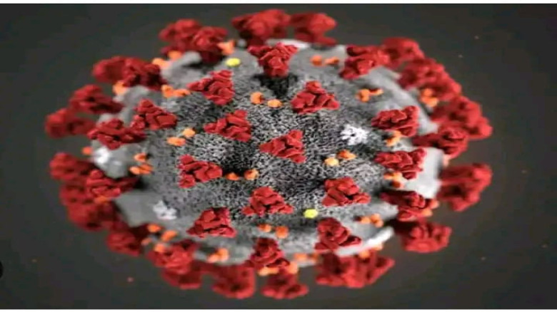 যশোরে করোনার নতুন ধরন ওমিক্রন শনাক্ত, আক্রান্ত এক নারী